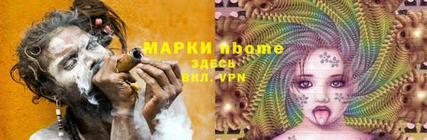 шишки Верхний Тагил